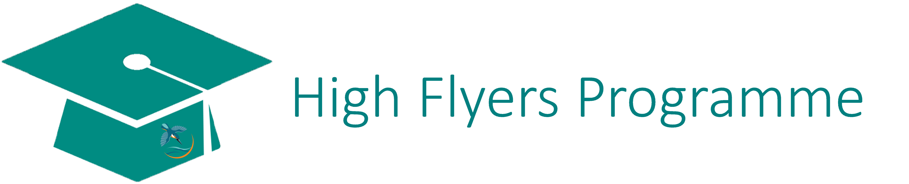 High Flyers Programme