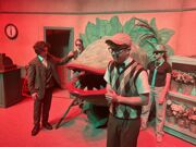 IMG 7119